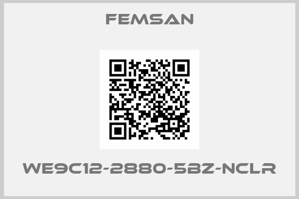 FEMSAN-WE9C12-2880-5BZ-NCLR