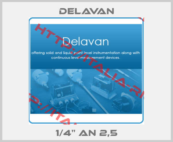 Delavan-1/4" AN 2,5
