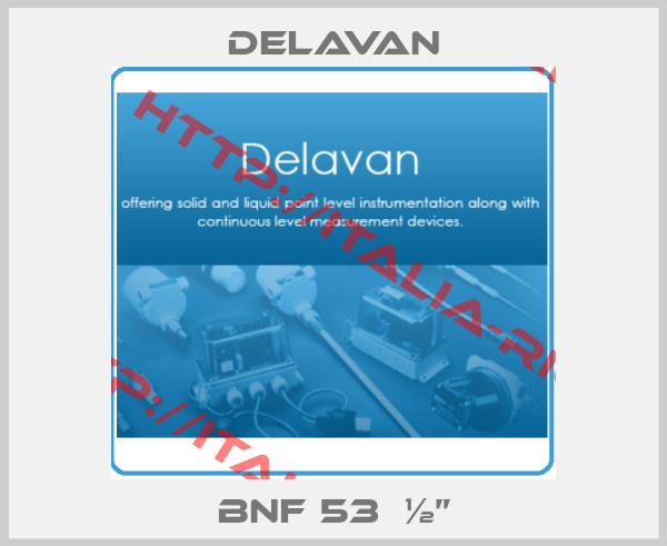 Delavan-BNF 53  ½”