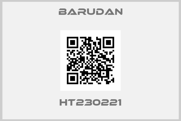 BARUDAN-HT230221