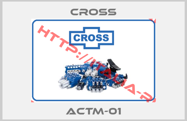CROSS-ACTM-01
