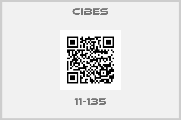 Cibes-11-135