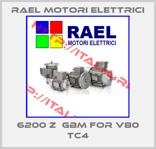RAEL MOTORI ELETTRICI-6200 Z  GBM for V80 TC4