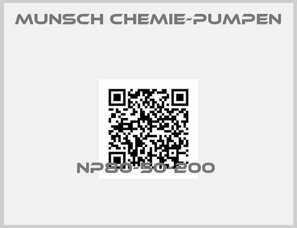 Munsch Chemie-Pumpen -NP80-50-200 