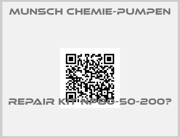 Munsch Chemie-Pumpen -Repair kit NP80-50-200	