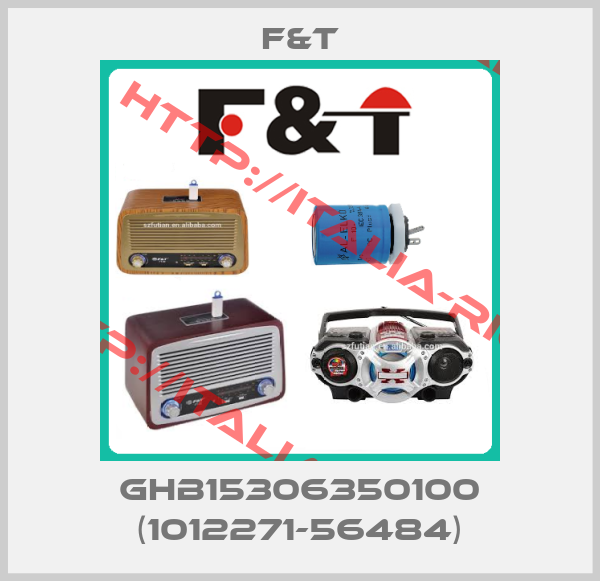 F&T-GHB15306350100 (1012271-56484)