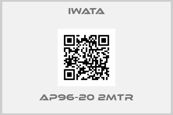 Iwata-AP96-20 2MTR