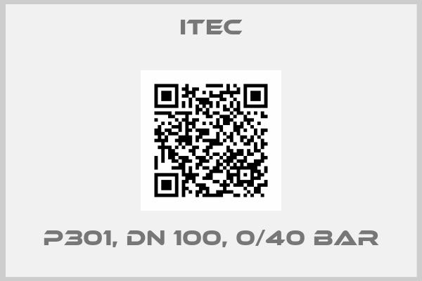 ITEC-P301, DN 100, 0/40 bar