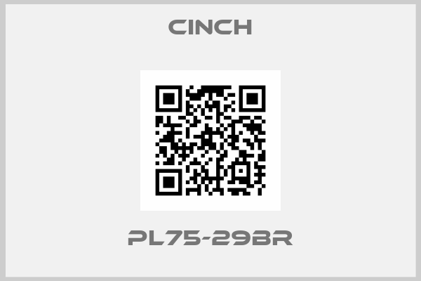 Cinch-PL75-29BR