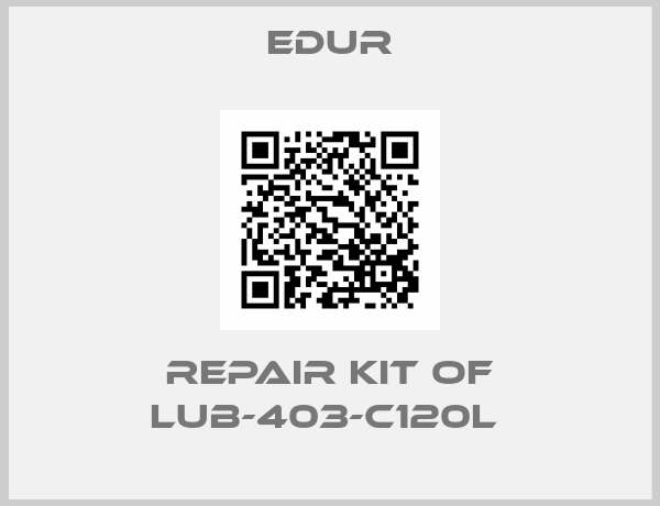 Edur-REPAIR KIT OF LUB-403-C120L 