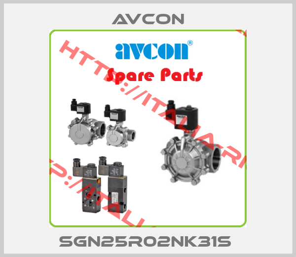 Avcon-SGN25R02NK31S 
