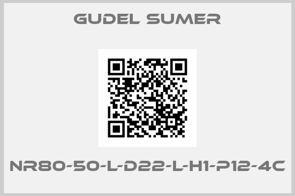 GUDEL SUMER-NR80-50-L-D22-L-H1-P12-4C