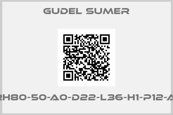GUDEL SUMER-NRH80-50-A0-D22-L36-H1-P12-AM