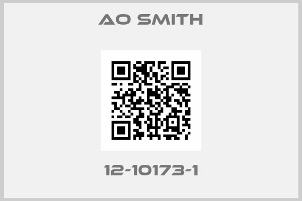 AO Smith-12-10173-1