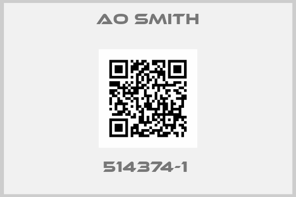 AO Smith-514374-1 