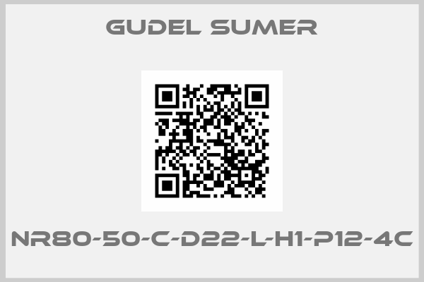 GUDEL SUMER-NR80-50-C-D22-L-H1-P12-4C