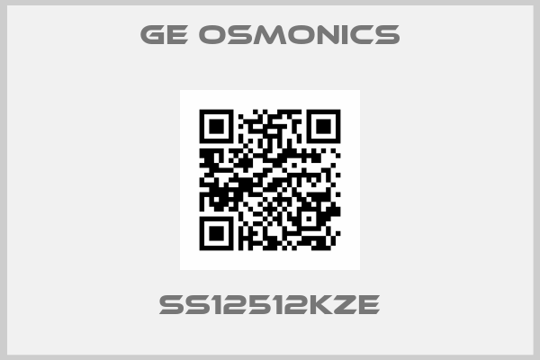 Ge Osmonics-SS12512KZE