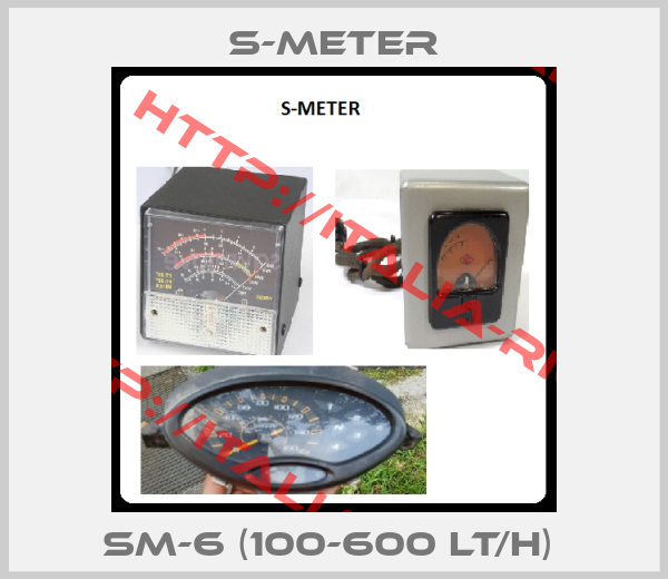 S-METER-SM-6 (100-600 LT/H) 