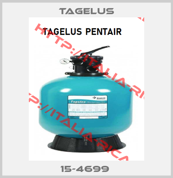 Tagelus-15-4699 