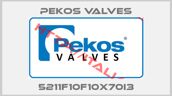 Pekos Valves-5211F10F10X70I3