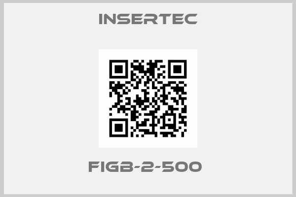 Insertec-FIGB-2-500 