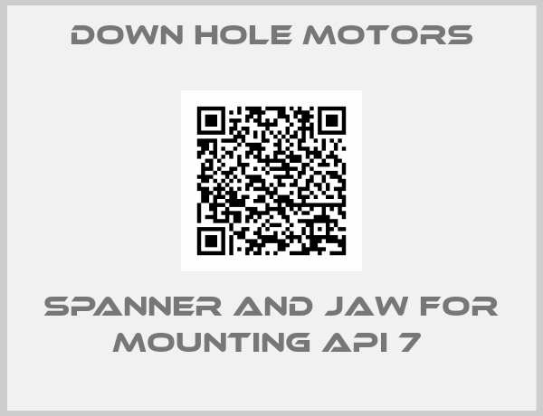 Down Hole Motors-SPANNER AND JAW FOR MOUNTING API 7 