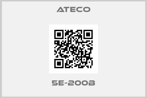 Ateco-5E-200B