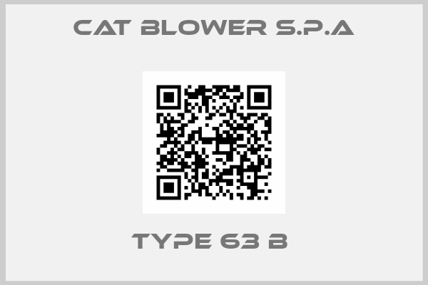 CAT BLOWER S.P.A-TYPE 63 B 