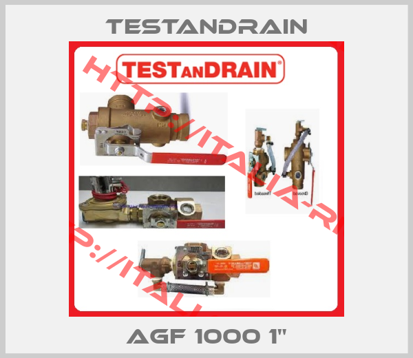 TESTanDRAIN-AGF 1000 1"