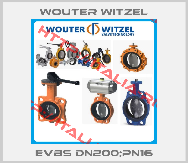 WOUTER WITZEL-EVBS DN200;PN16