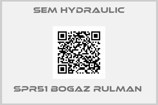 SEM HYDRAULIC-SPR51 BOGAZ RULMAN 