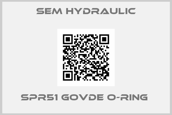 SEM HYDRAULIC-SPR51 GOVDE O-RING 