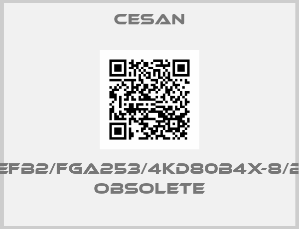 Cesan-EFB2/FGA253/4KD80B4X-8/2 obsolete