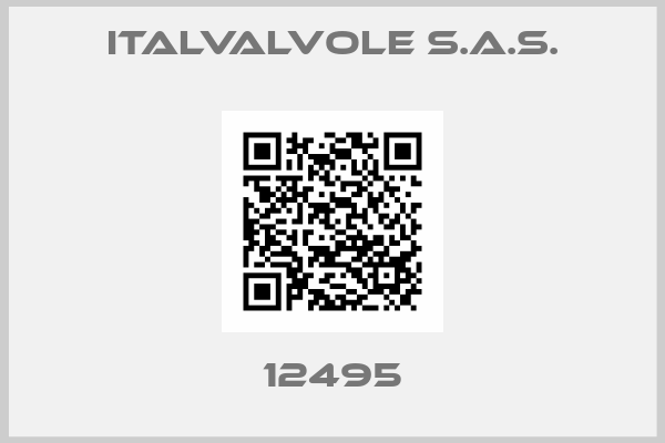 ITALVALVOLE S.A.S.-12495