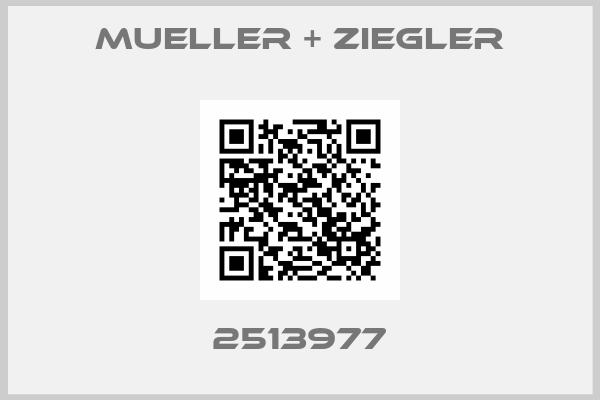 Mueller + Ziegler-2513977