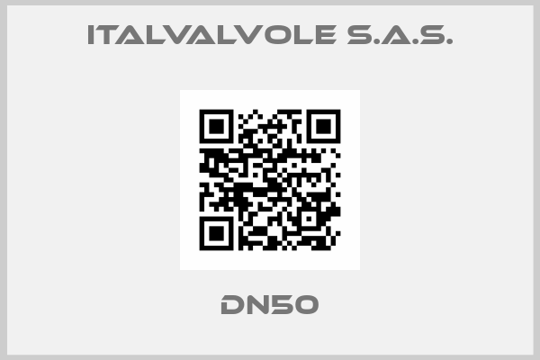 ITALVALVOLE S.A.S.-DN50
