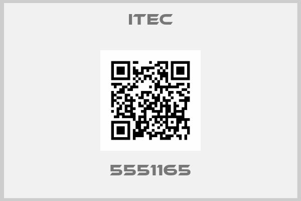 ITEC-5551165