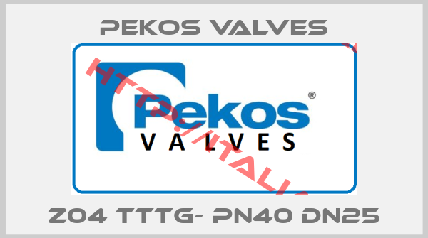 Pekos Valves-Z04 TTTG- PN40 DN25