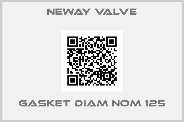 Neway Valve-GASKET DIAM NOM 125
