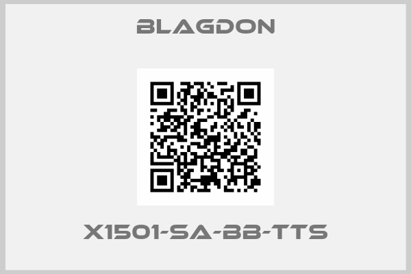 Blagdon-X1501-SA-BB-TTS