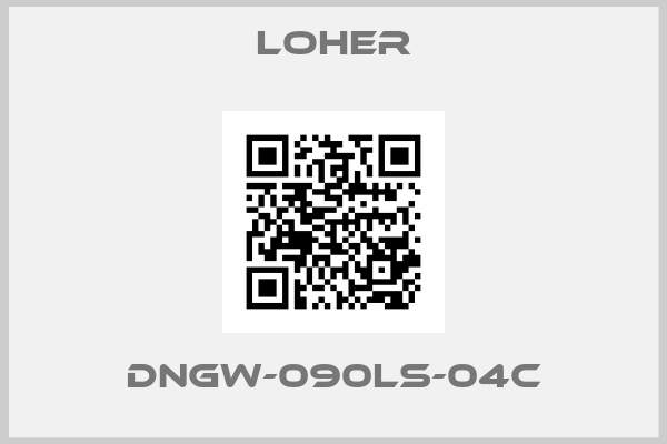 Loher-DNGW-090LS-04C