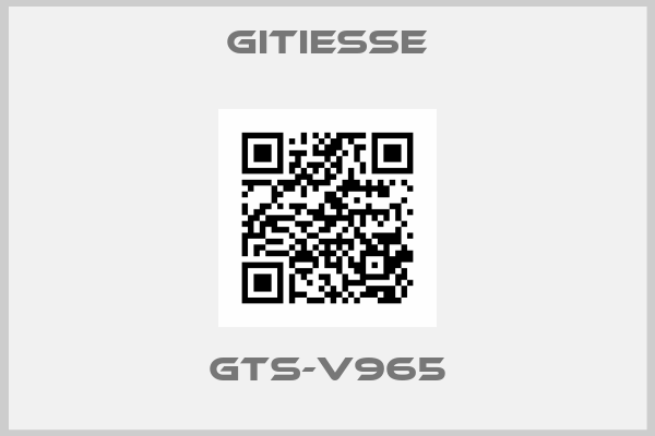 Gitiesse-GTS-V965