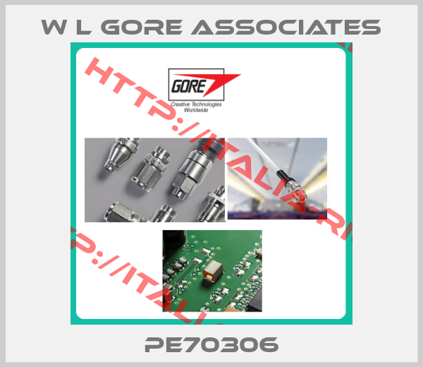 W L Gore Associates-PE70306