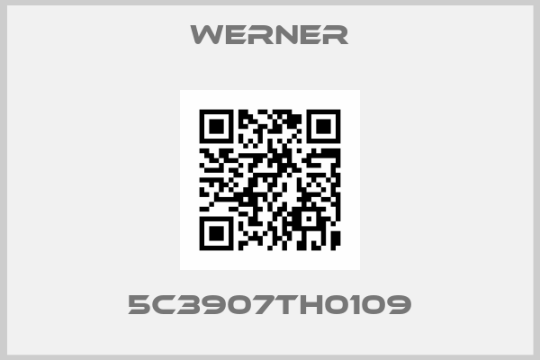 Werner-5C3907TH0109
