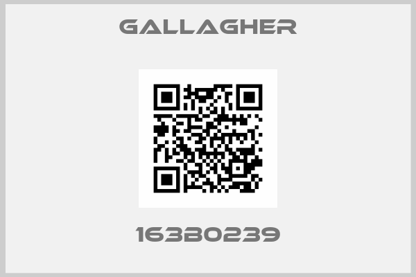 Gallagher-163B0239