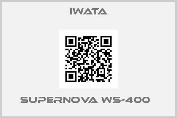 Iwata-supernova WS-400  