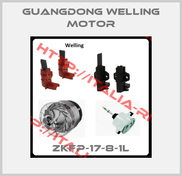 Guangdong Welling Motor-ZKFP-17-8-1L