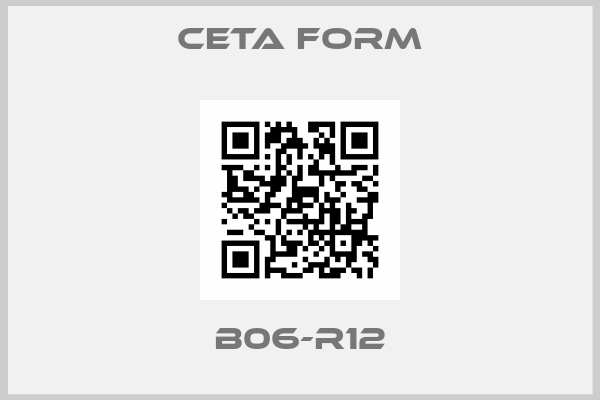 CETA FORM-B06-R12
