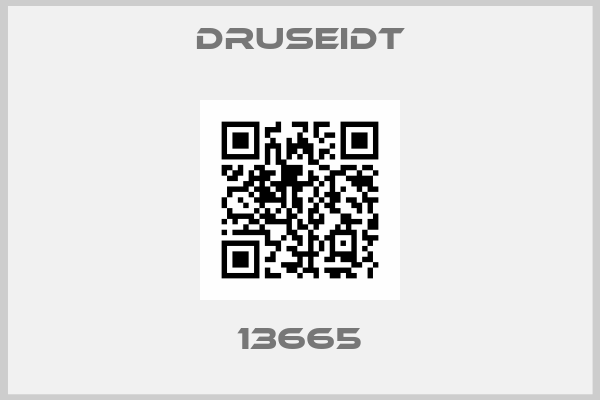 Druseidt-13665