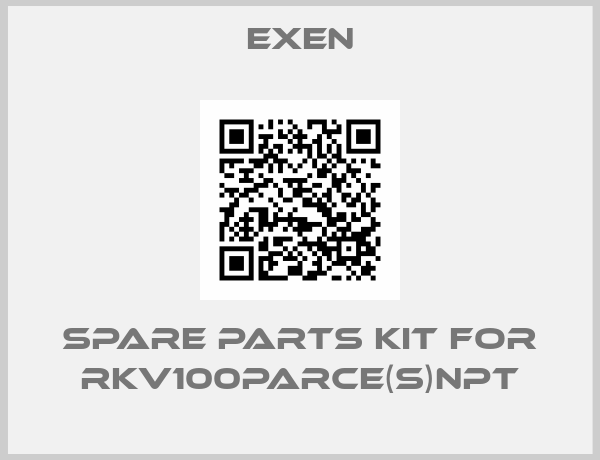 Exen-SPARE PARTS KIT FOR RKV100PARCE(S)NPT